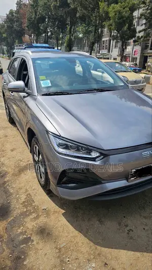 BYD E2 43 kWh 94 hp FWD 2025 Gray
