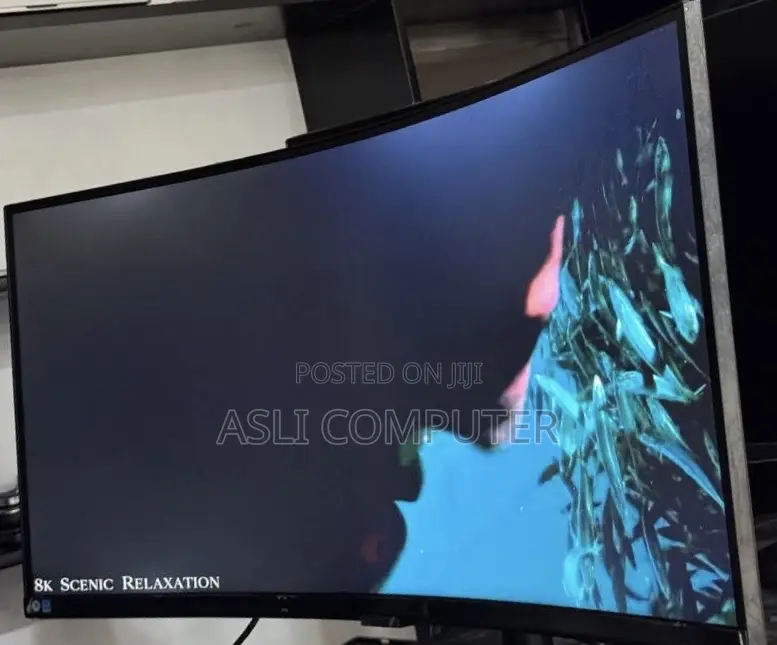 Samsung Curved Monitor