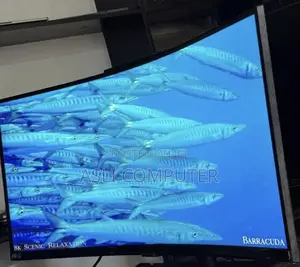 Samsung Curved Monitor