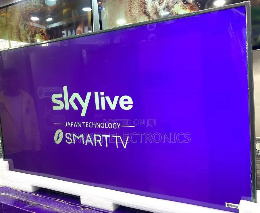 Skeylive 65 Inch TV