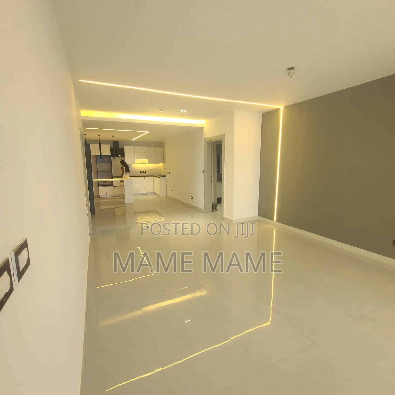 2bdrm Apartment in Addis Abeba, Bole for rent