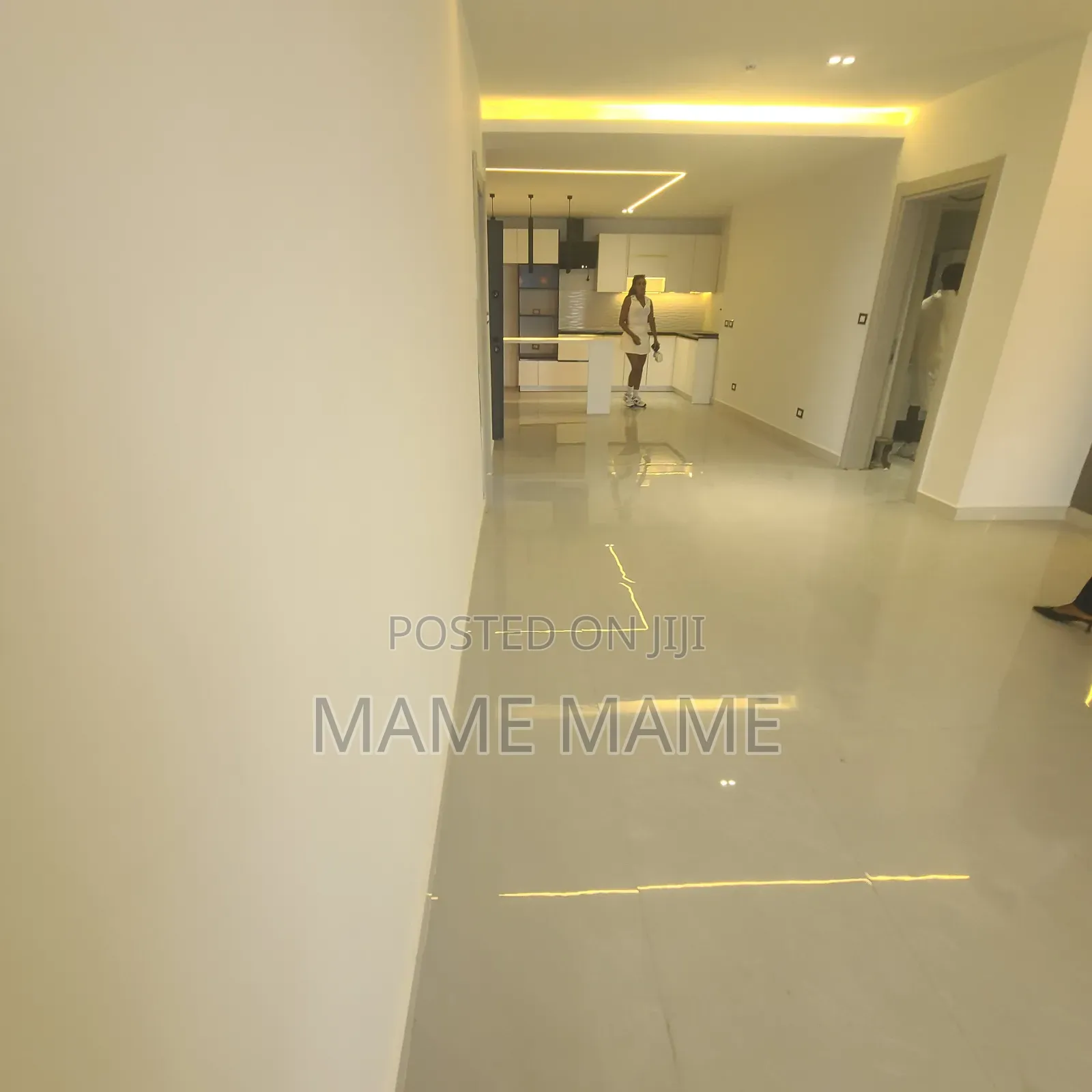 2bdrm Apartment in Addis Abeba, Bole for rent