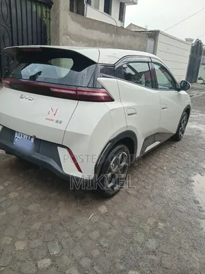 BYD Seagull 2025 White
