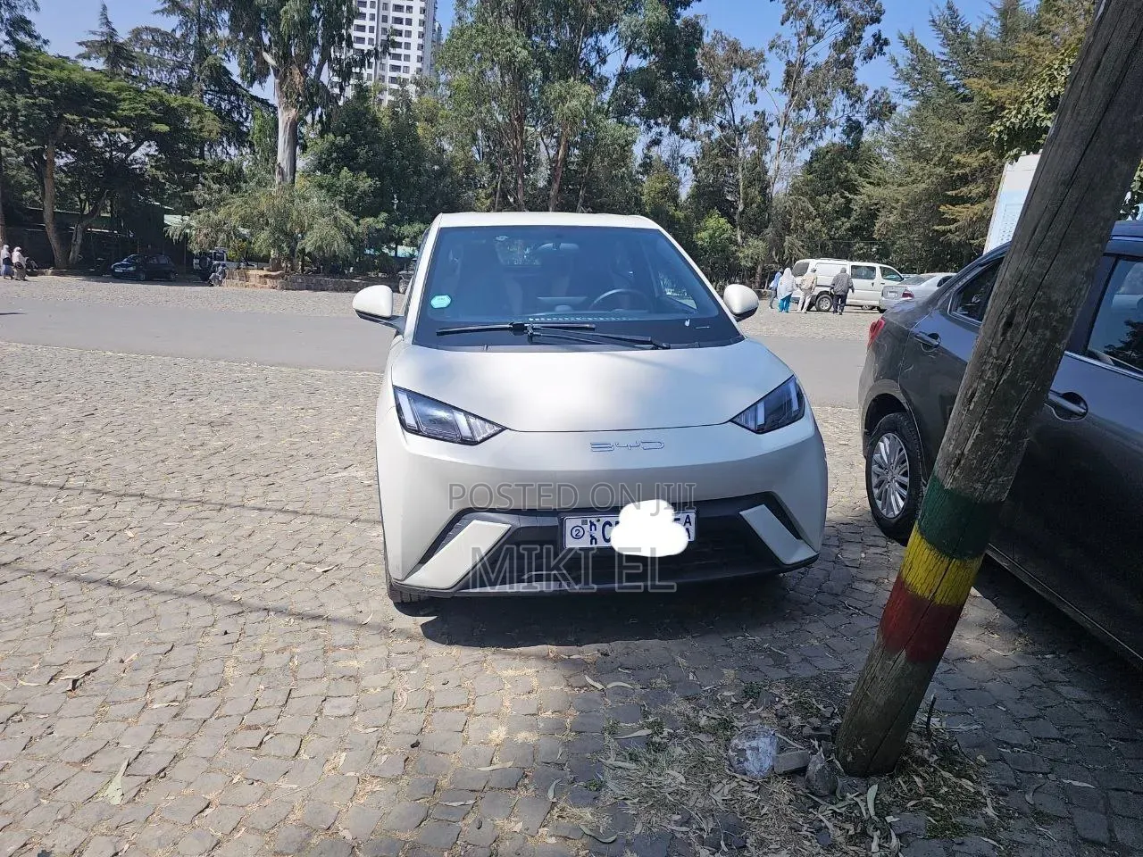 BYD Seagull 2025 White