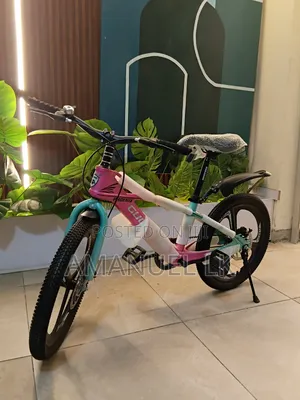 PHOENIX Best Bike