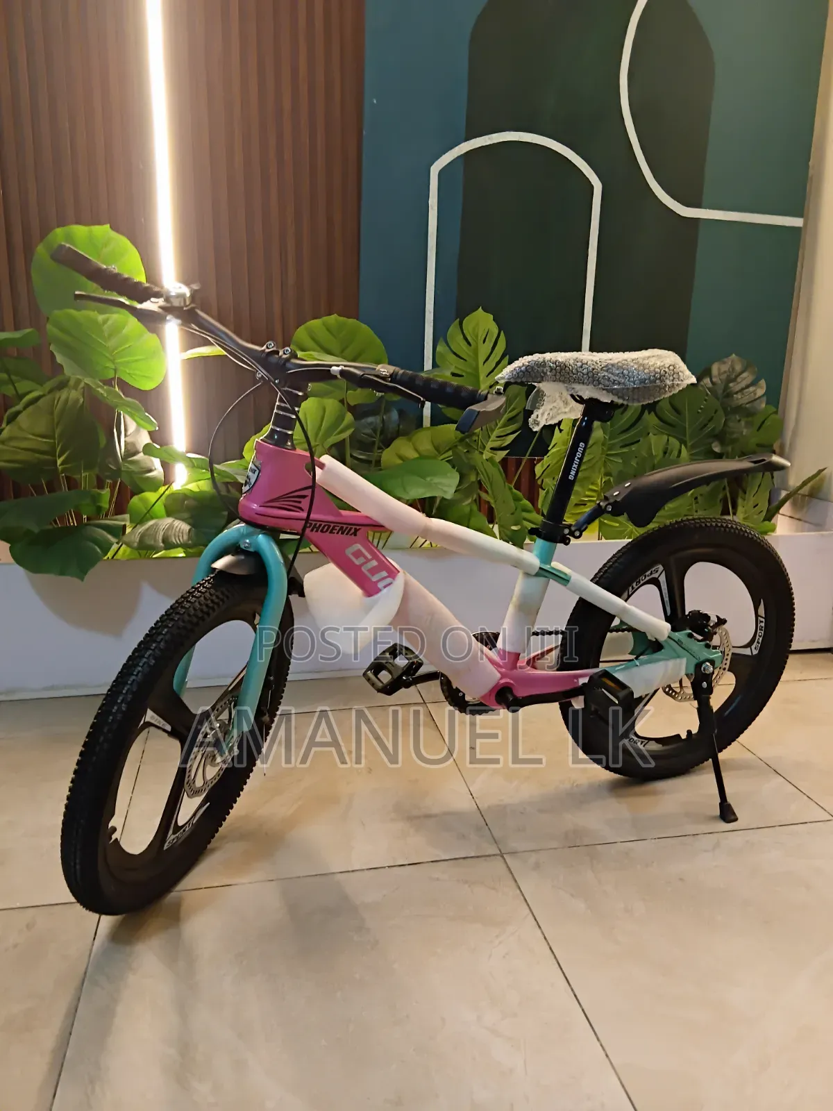 PHOENIX Best Bike