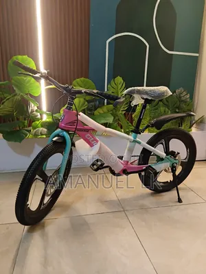 PHOENIX Best Bike