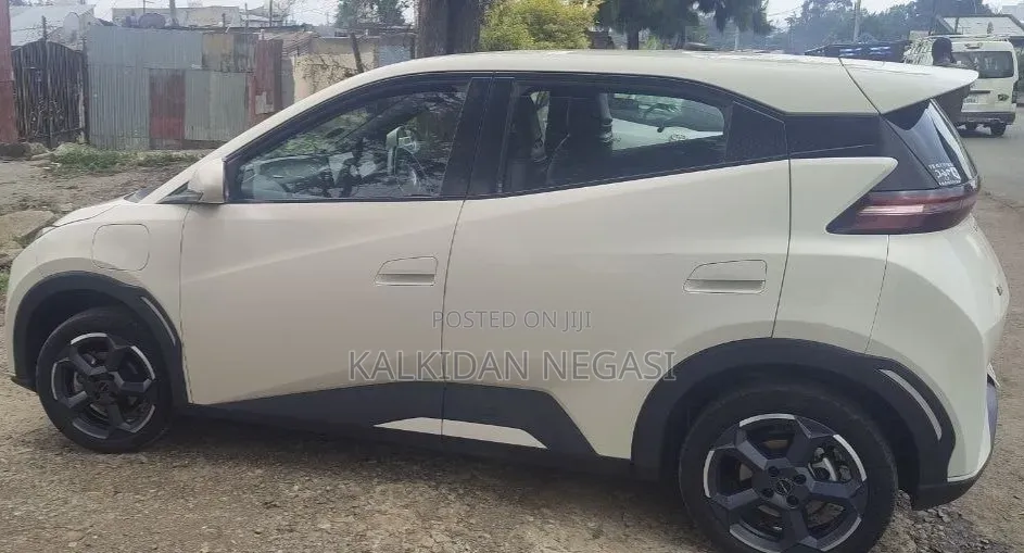 BYD Seagull 2025 White