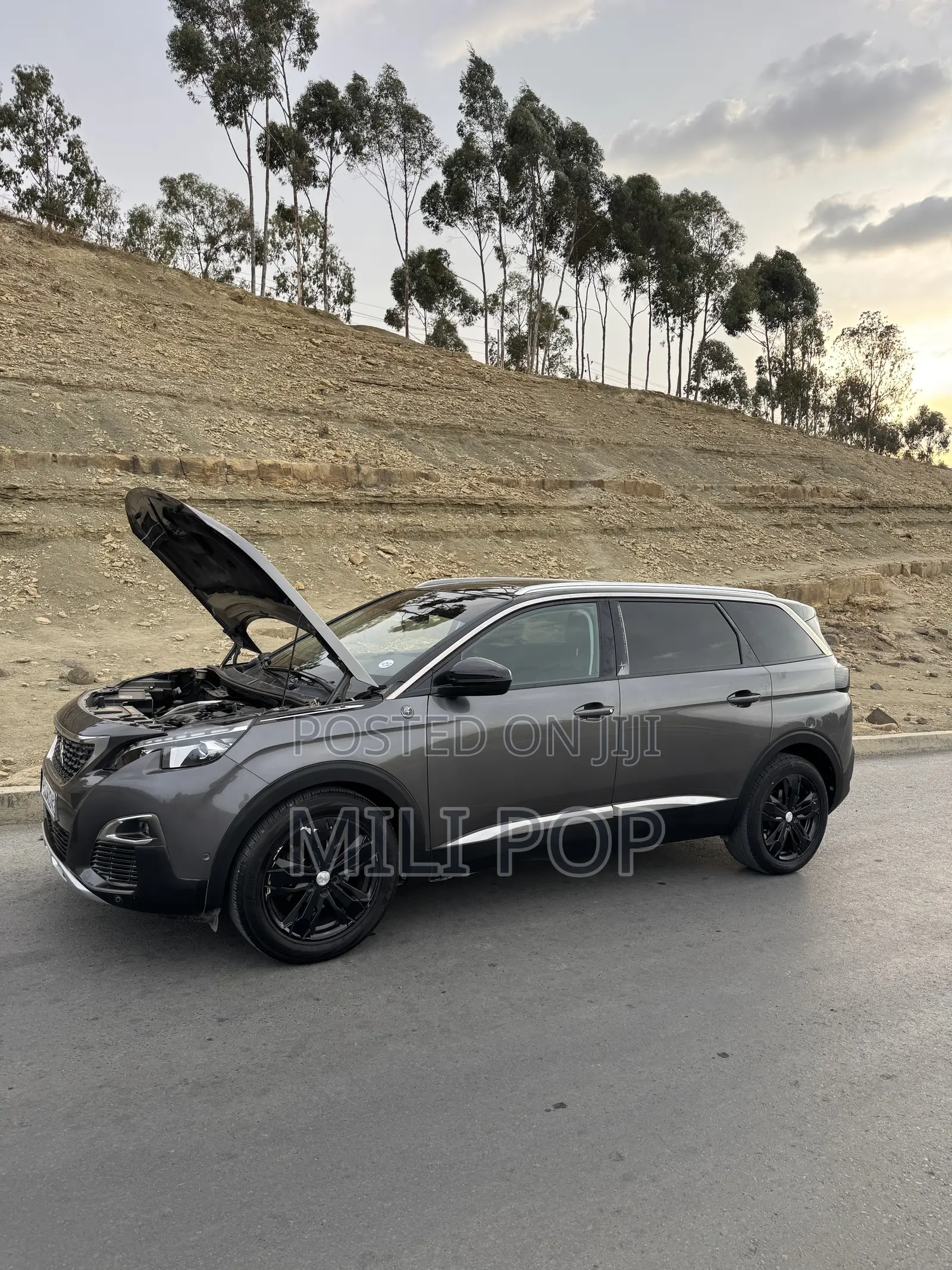 Peugeot 5008 2018 Gray