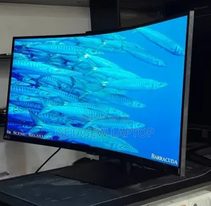 Samsung 34” Curved Monitor (C34H890WGN) 
 Screen Size – 34” Ultrawide