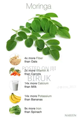 Moringa Powder
