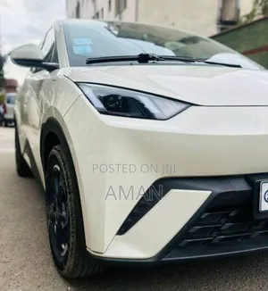 BYD Seagull 2025