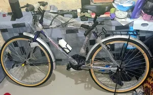 New Phoenix Bicycle