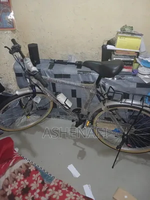 New Phoenix Bicycle