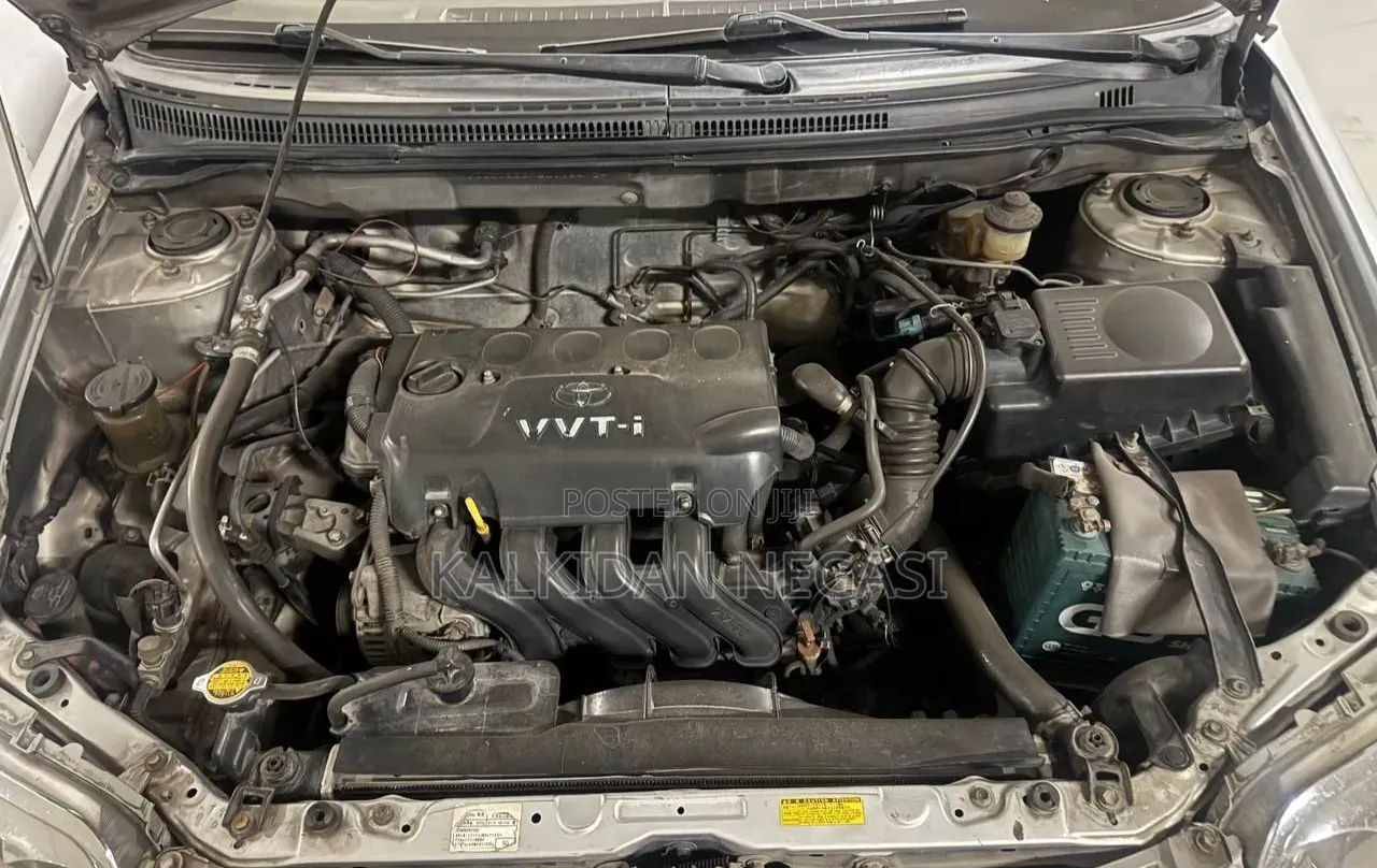 Toyota Corolla 2007 Gray