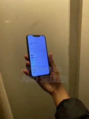Apple iPhone 13 Pro 256 GB Gray