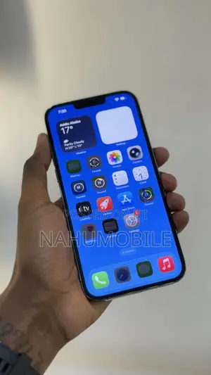 Apple iPhone 13 Pro Max 128 GB Black