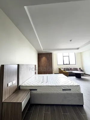 Furnished Studio Apartment in Nifas Silk-Lafto for rent