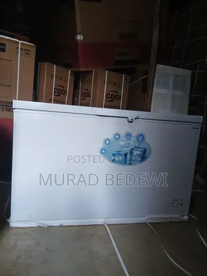 ቪክቶሪ 600ሊትር ዲፕ ፍሪዘት