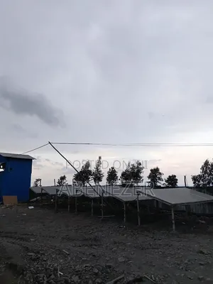 Solar Inverter