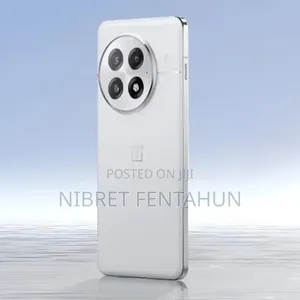 OnePlus Ace Pro 256 GB Silver