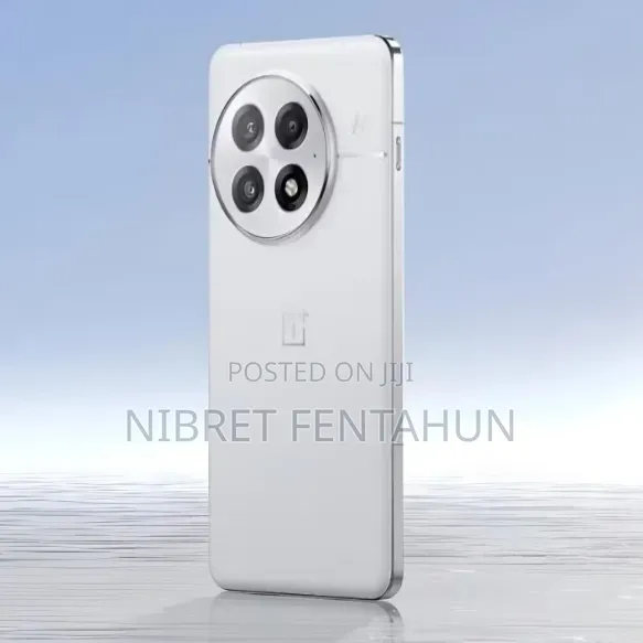 OnePlus Ace Pro 256 GB Silver