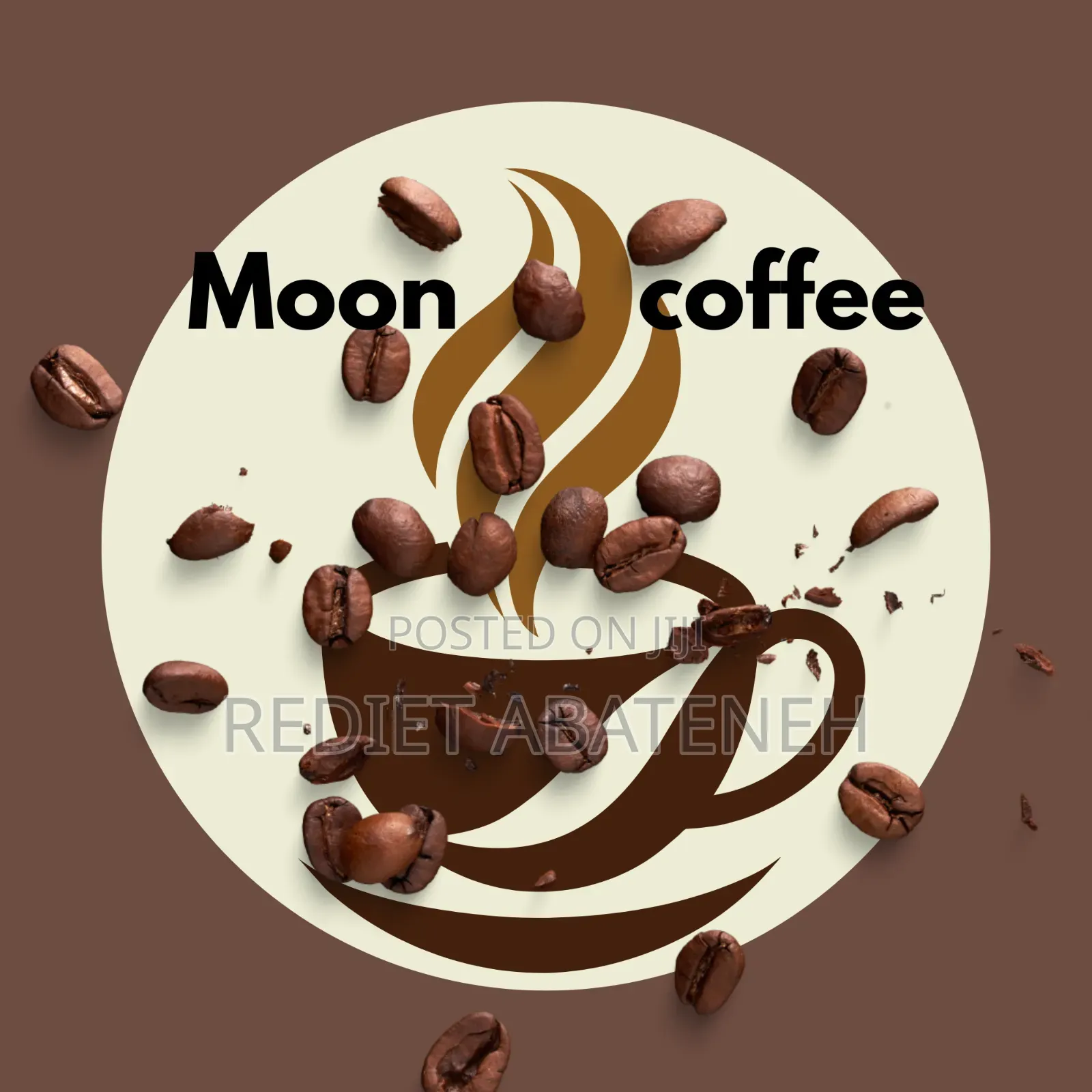Professional Logo Design Services