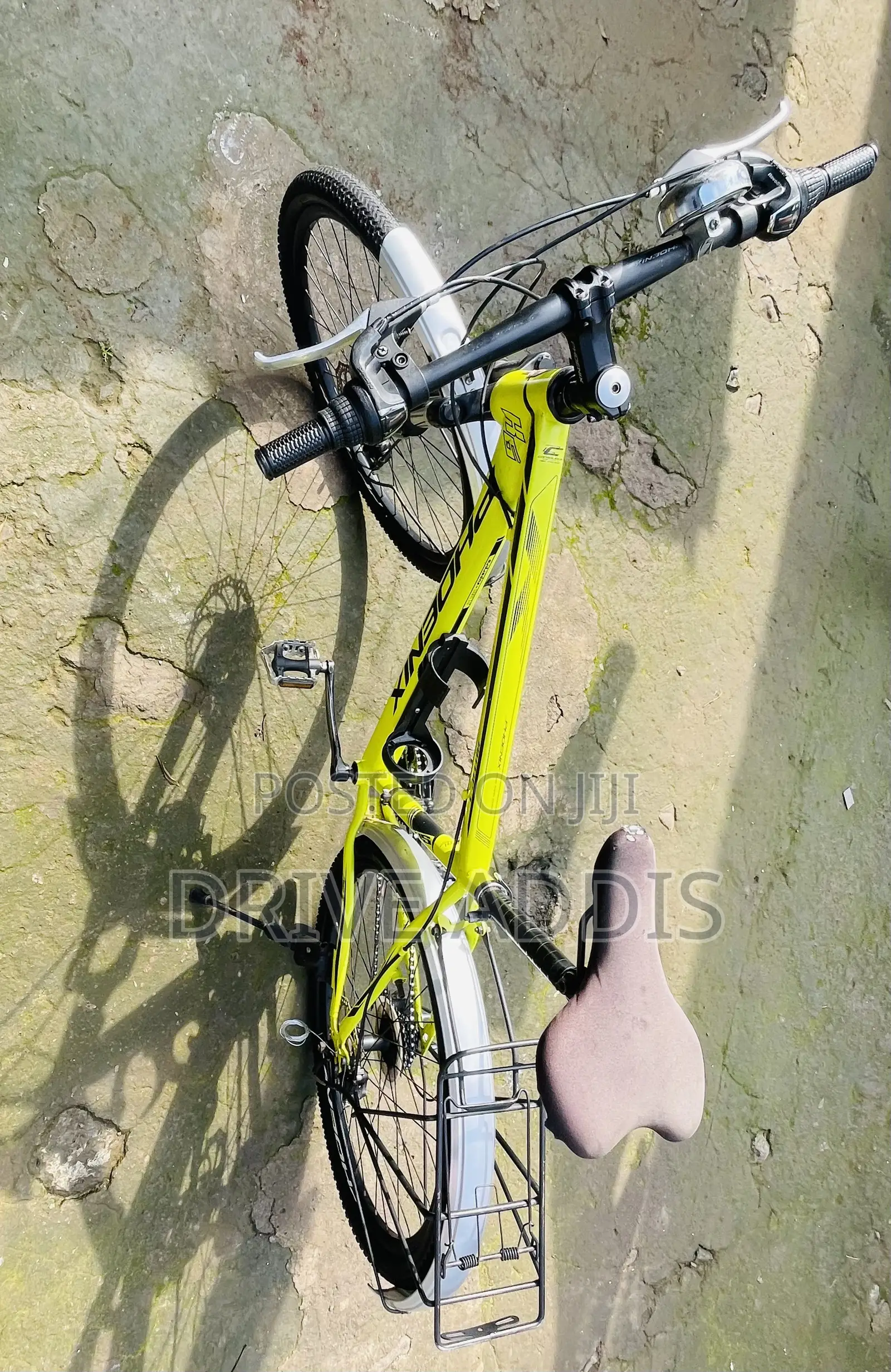Bicycle Phoenix