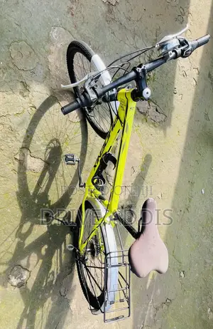 Bicycle Phoenix