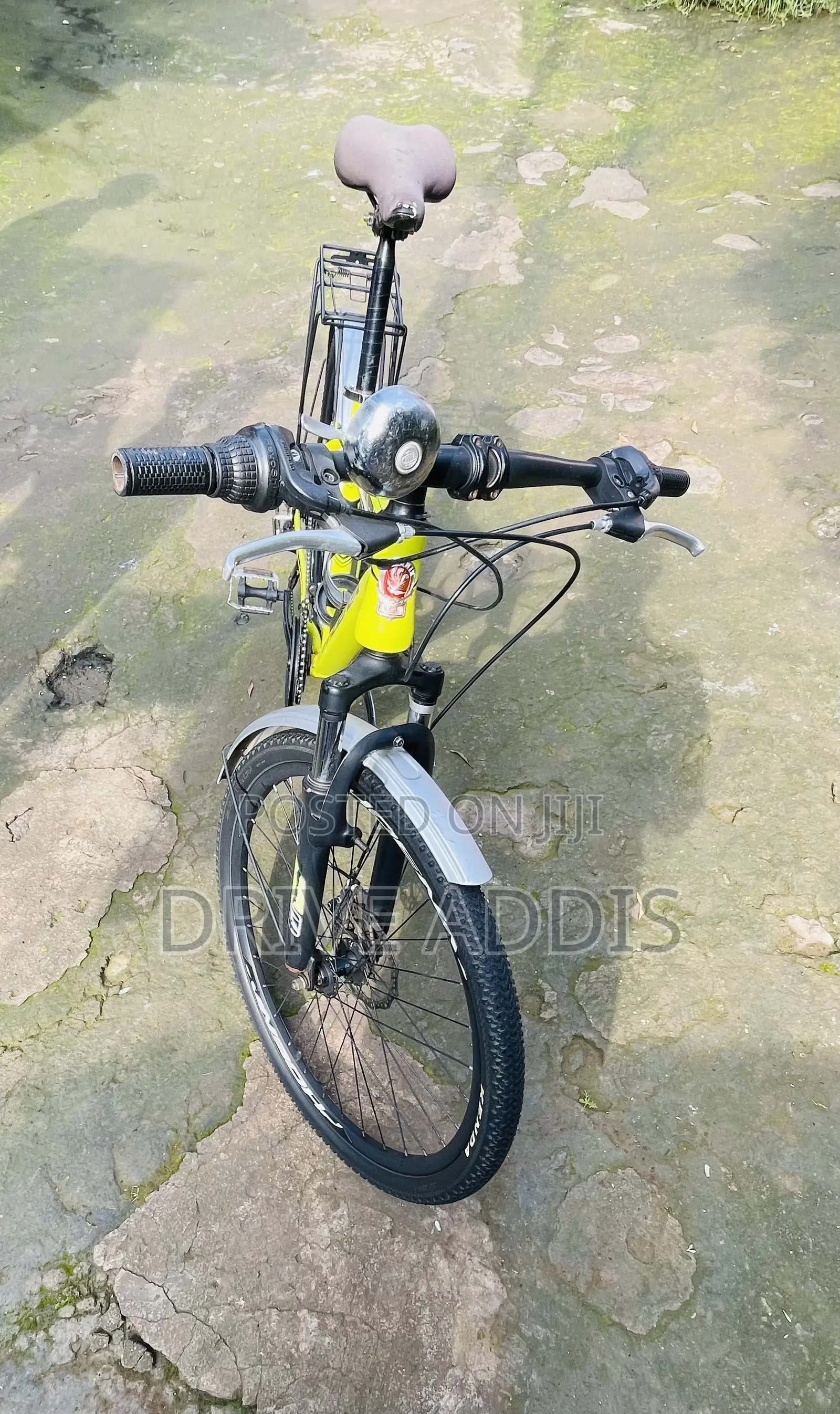 Bicycle Phoenix