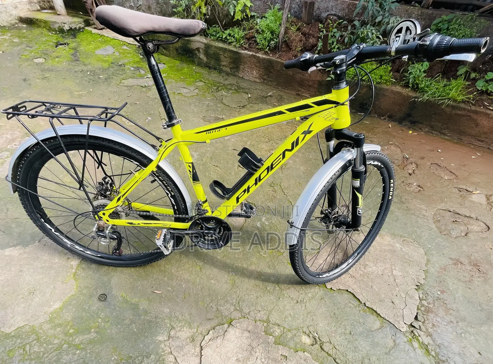 Bicycle Phoenix
