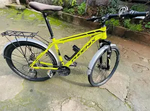 Bicycle Phoenix