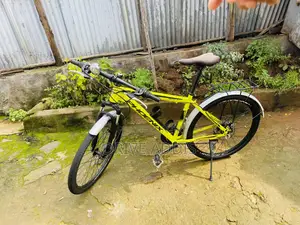 Bicycle Phoenix
