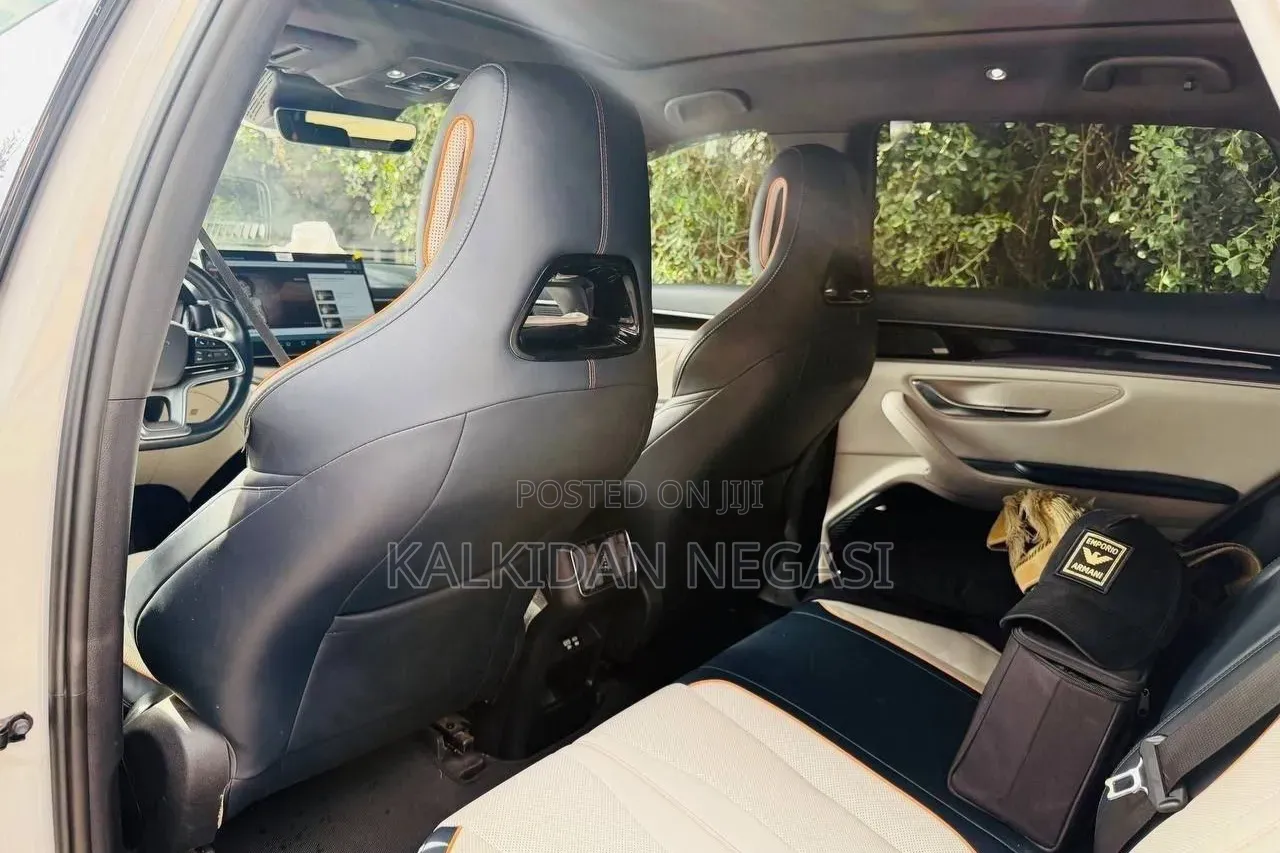 BYD Song Plus 2024 Gray