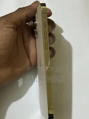 Apple iPhone 13 Pro Max 256 GB Gold