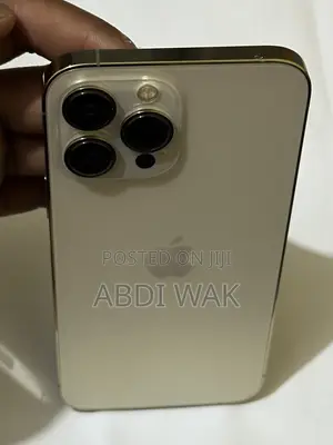 Apple iPhone 13 Pro Max 256 GB Gold