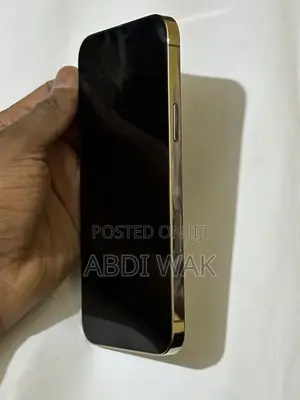 Apple iPhone 13 Pro Max 256 GB Gold
