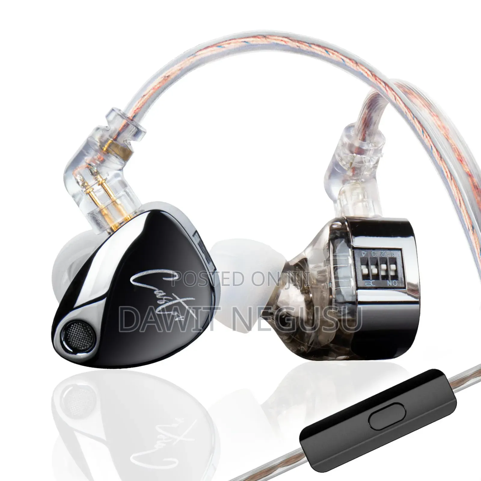 In Ear Monitor (Earphone)