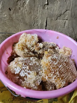 ንጹህ ማር (Honey)