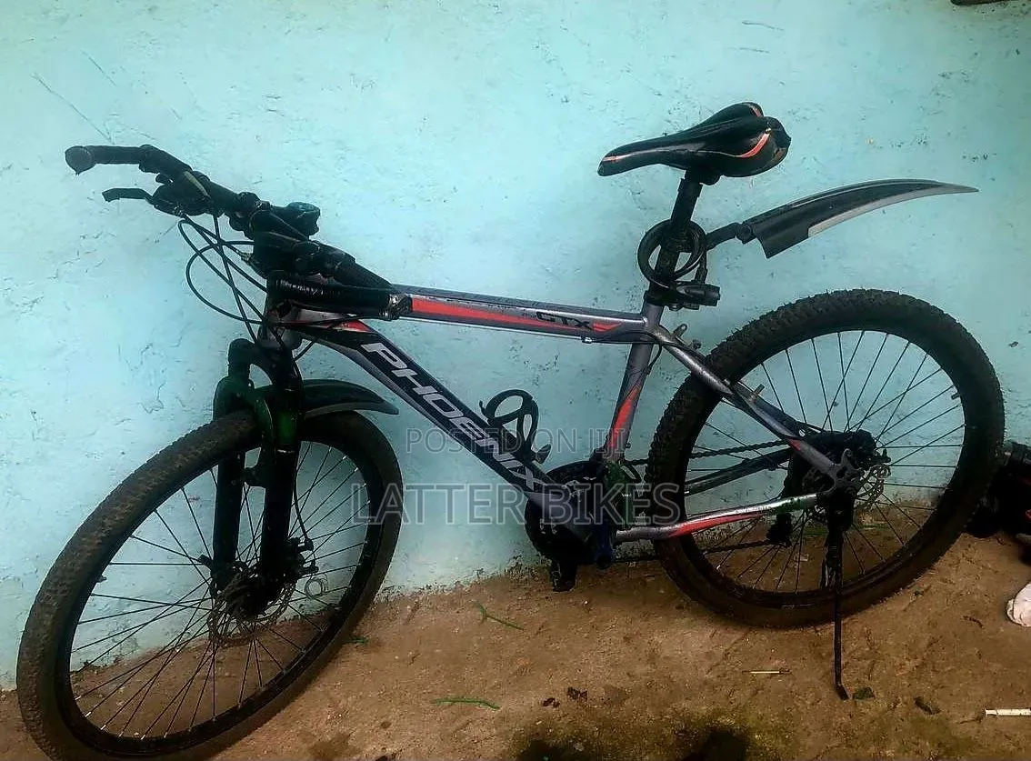 Phoenix Bicycle