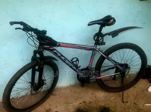 Phoenix Bicycle