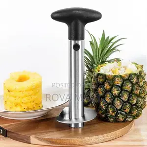Pineapple Cutter Slicer Peeler