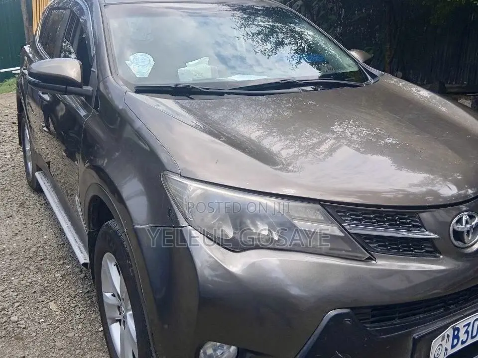 Toyota RAV4 2015 Brown