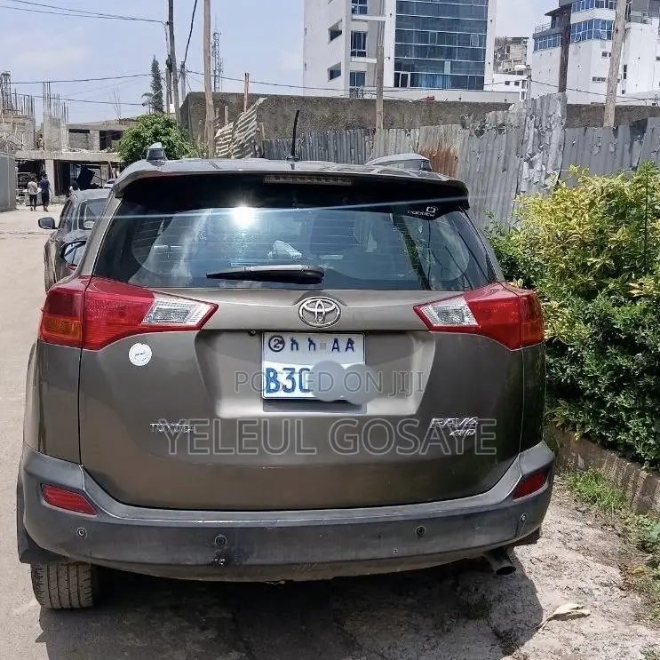 Toyota RAV4 2015 Brown