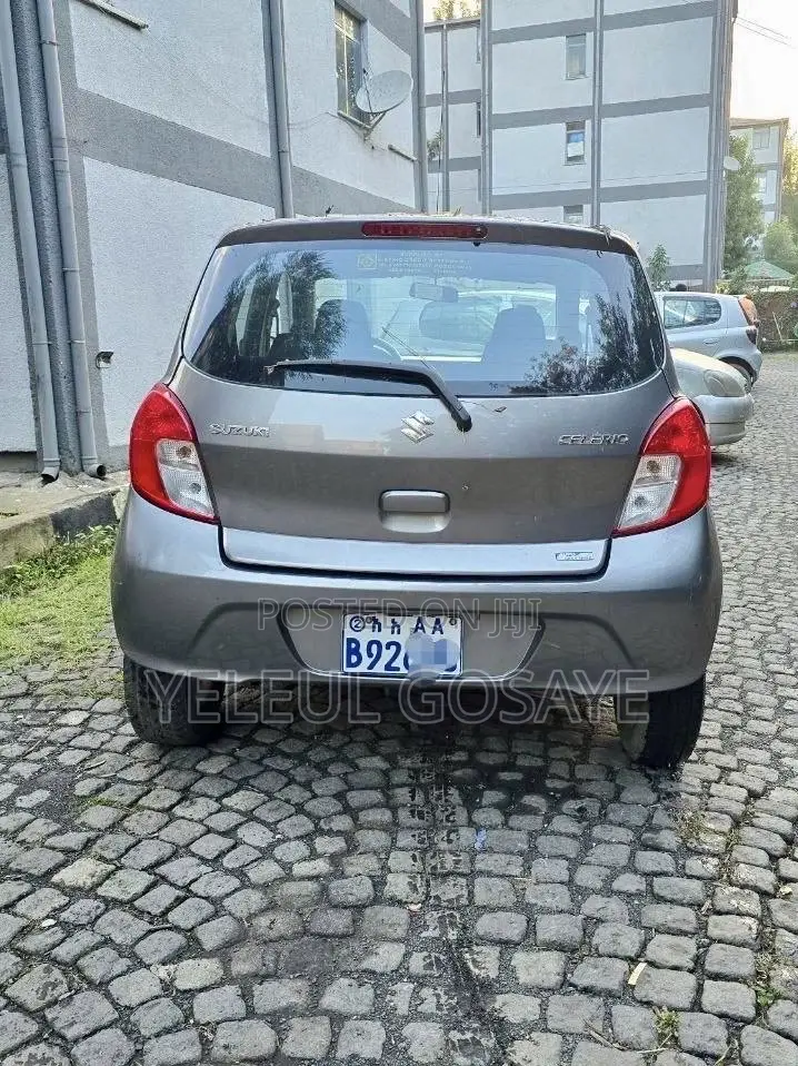 Suzuki Celerio 2021 Gray