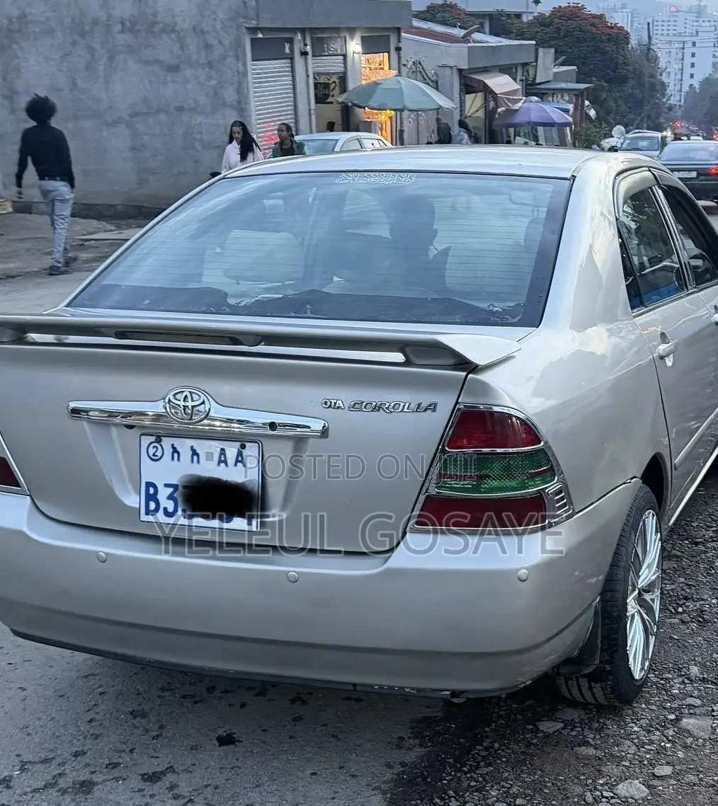 Toyota Corolla 2004 Gray