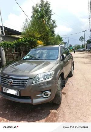 Toyota RAV4 2012 Brown