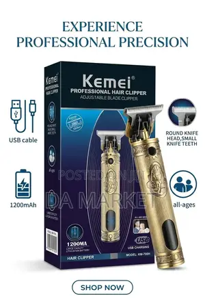 Kemei Professional Hair Clipper (Model KM-700H)