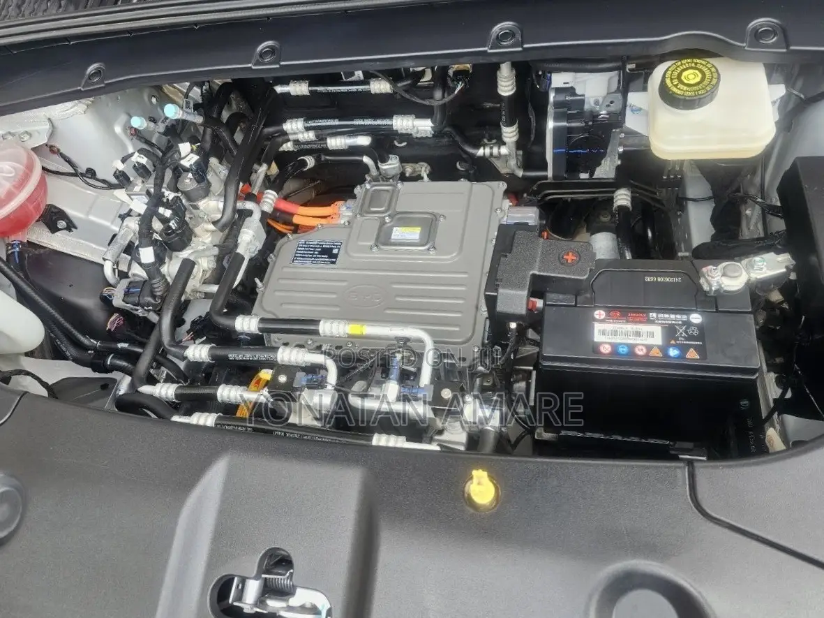 BYD Yuan Up 2025