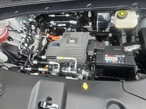 BYD Yuan Up 2025